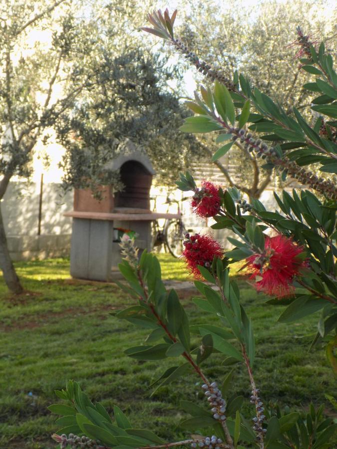 Villa Twins Rosini Esterno foto